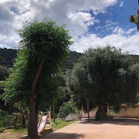 Appartamento Maremontagna Cardedu Ngoại thất bức ảnh