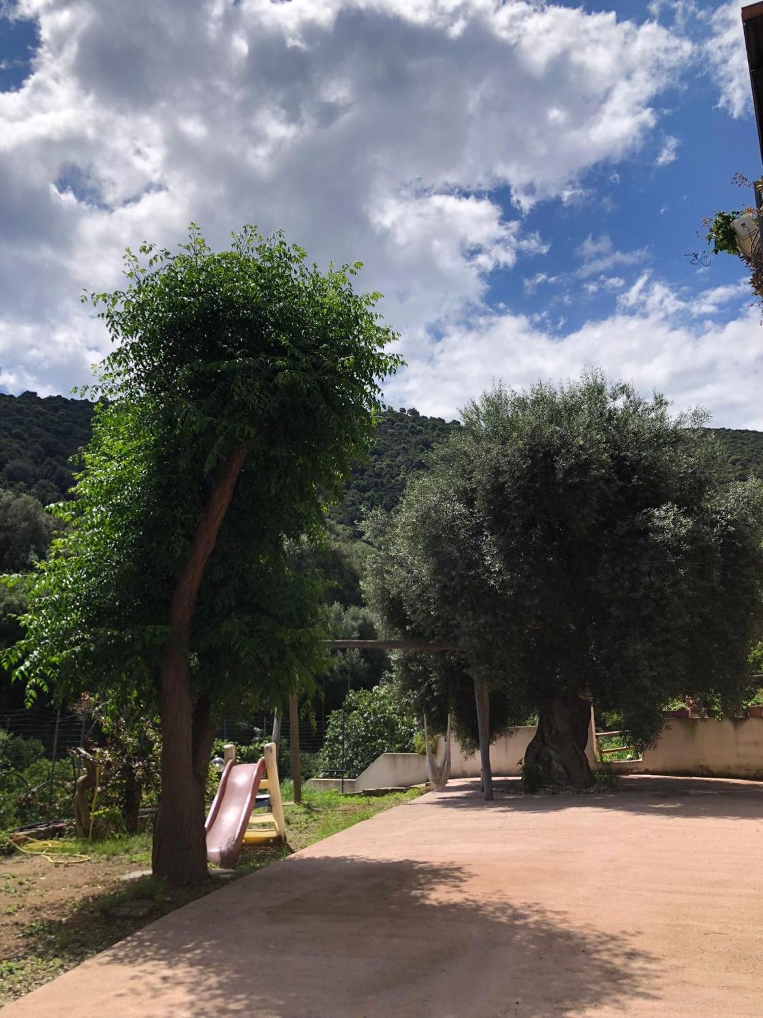 Appartamento Maremontagna Cardedu Ngoại thất bức ảnh